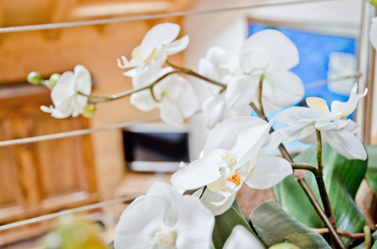 Apartment Baergrose - Griwa Rent Ag 그린델발트 외부 사진